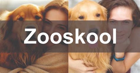 zooskooll|Zooskool